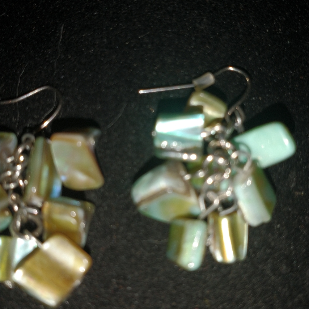 Abalone Shell drop earrings. - Picture 2 of 4